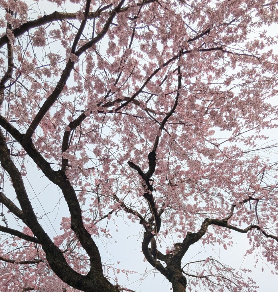 癒しの間VERT～ヴェール～